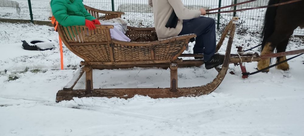 Sanie konne ,sanki