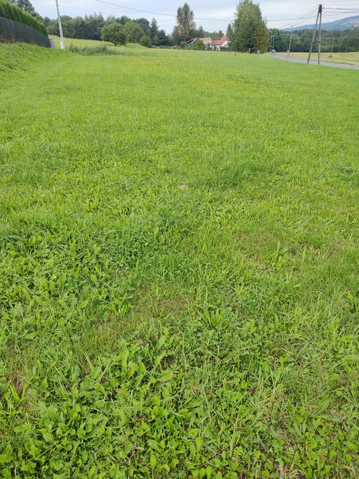 Atrakcyjna, widokowa działka budowlana - Tuchów, Jana III Sobieskiego - możliwość podziału - Widok 3