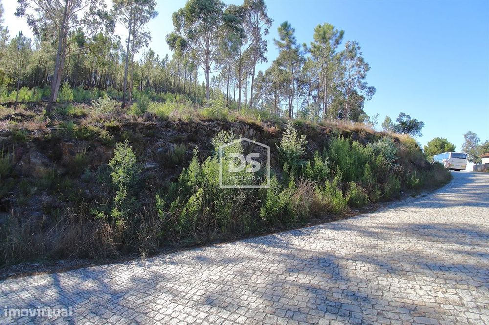 Terreno  Venda em Sobreira,Paredes — Sobreira, Porto