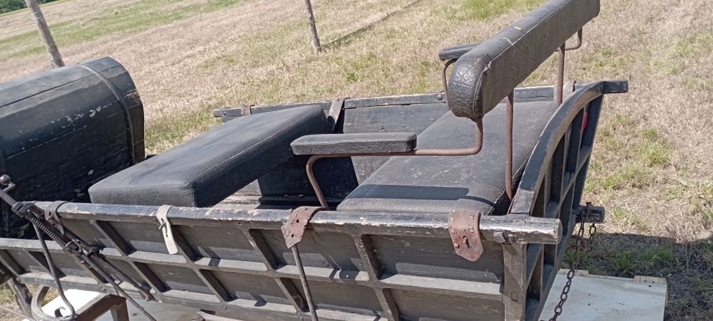 Sanie konne 100 letnie