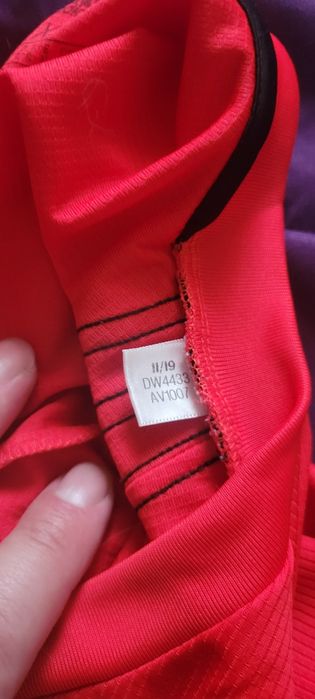 Camisola do Benfica Oficial XL