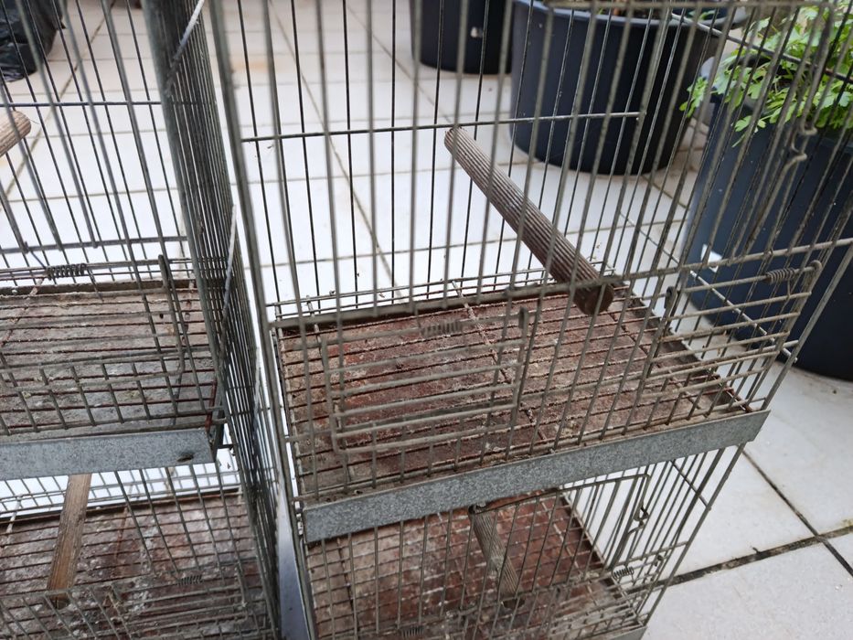 Gaiola para canário pintassilgo ou outras aves