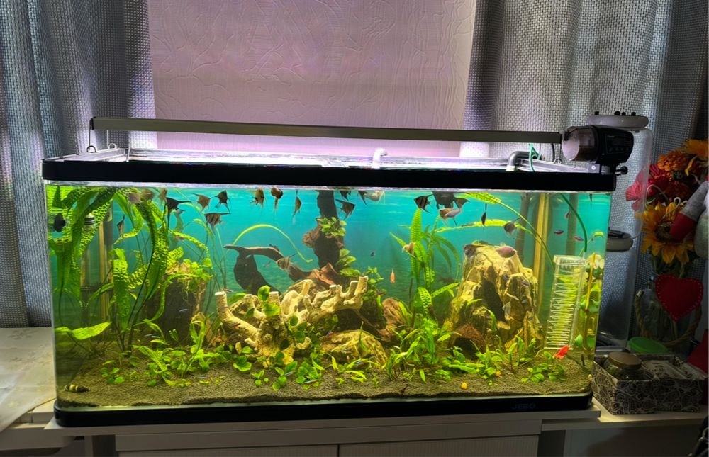 Акваріумний світильник Rival