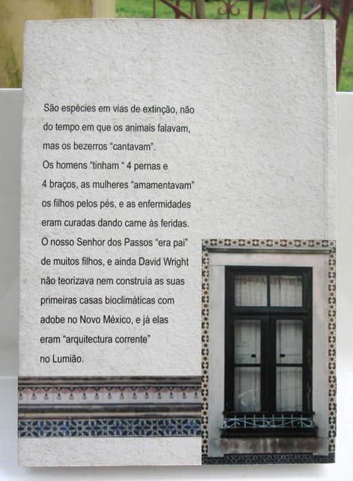 Lumião - Tempos do arco da velha, João Sarabando