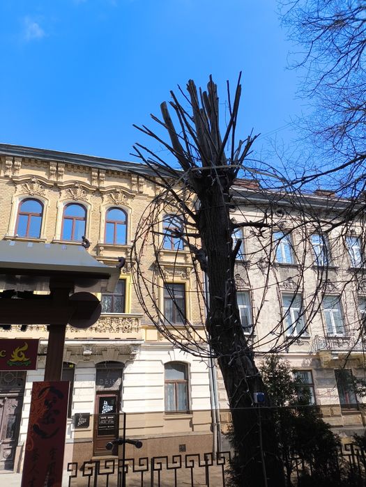 Порізка дерев, в приватному секторі.