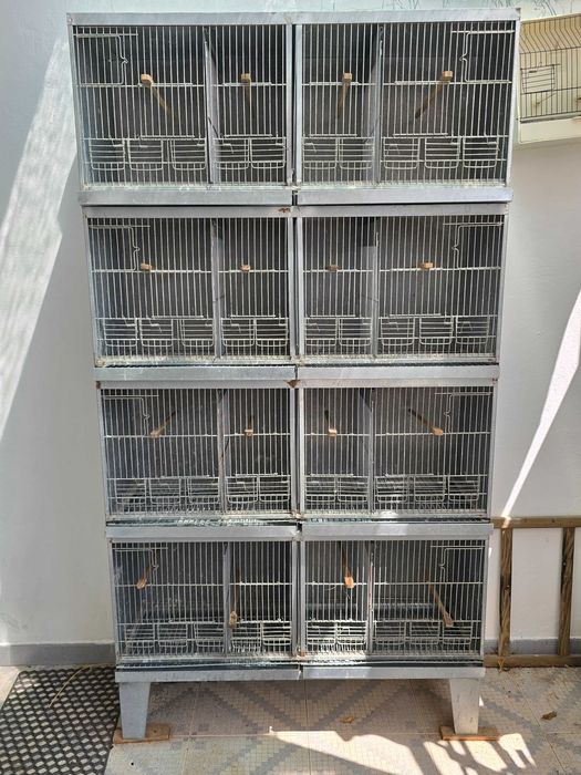 Viveiros/Gaiolas de criação aves