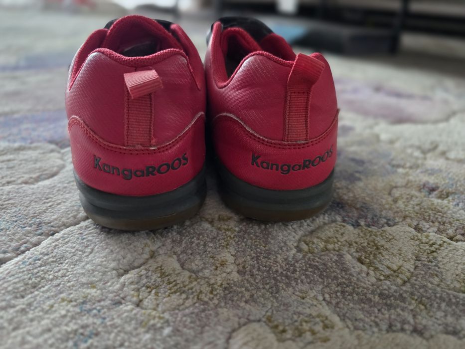 Halowki KangaRoose