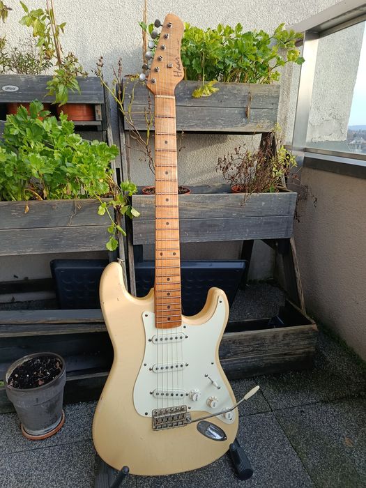Haar Trad S Stratocaster 2021