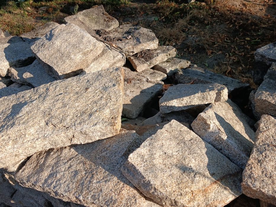 Pedras (patelas) rustica