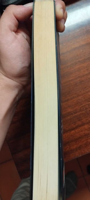 Livro Stanger Things Mentes Inquietas