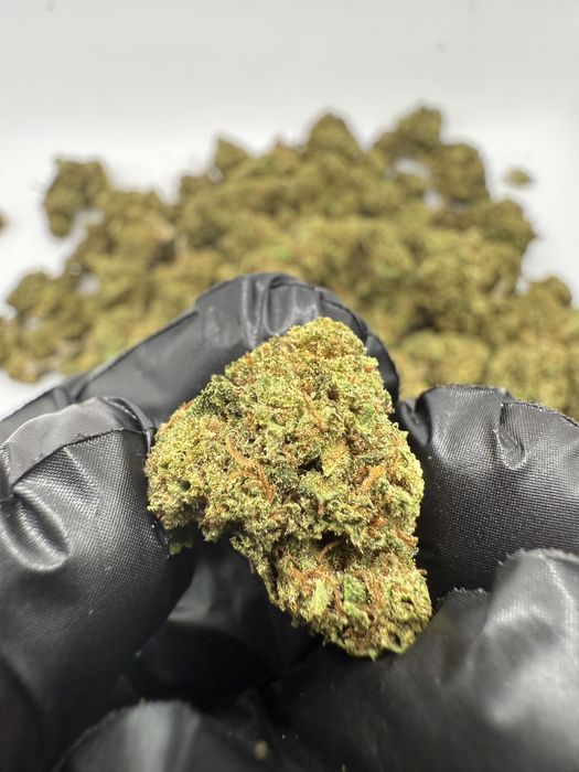1kg susz CBD Grape Berry /THC<0.3%