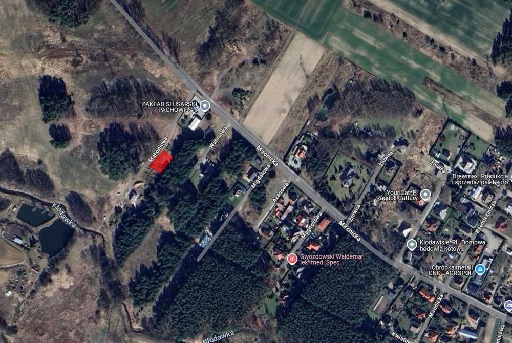 Działka budowlana 12 arów - Kłodawa - przy lesie, cicha okolica