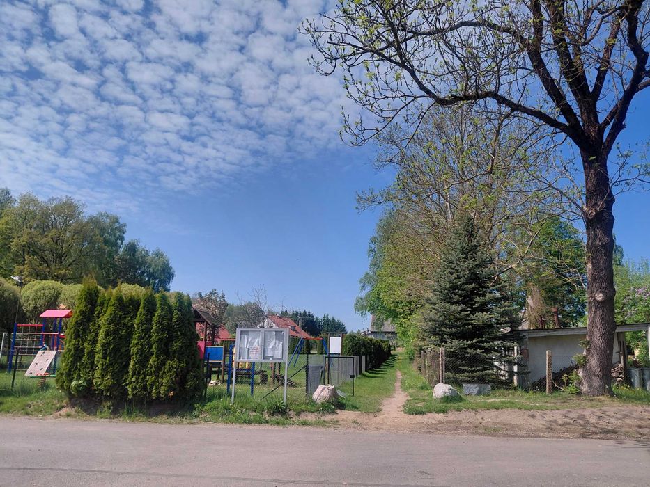 Zdjęcie 8