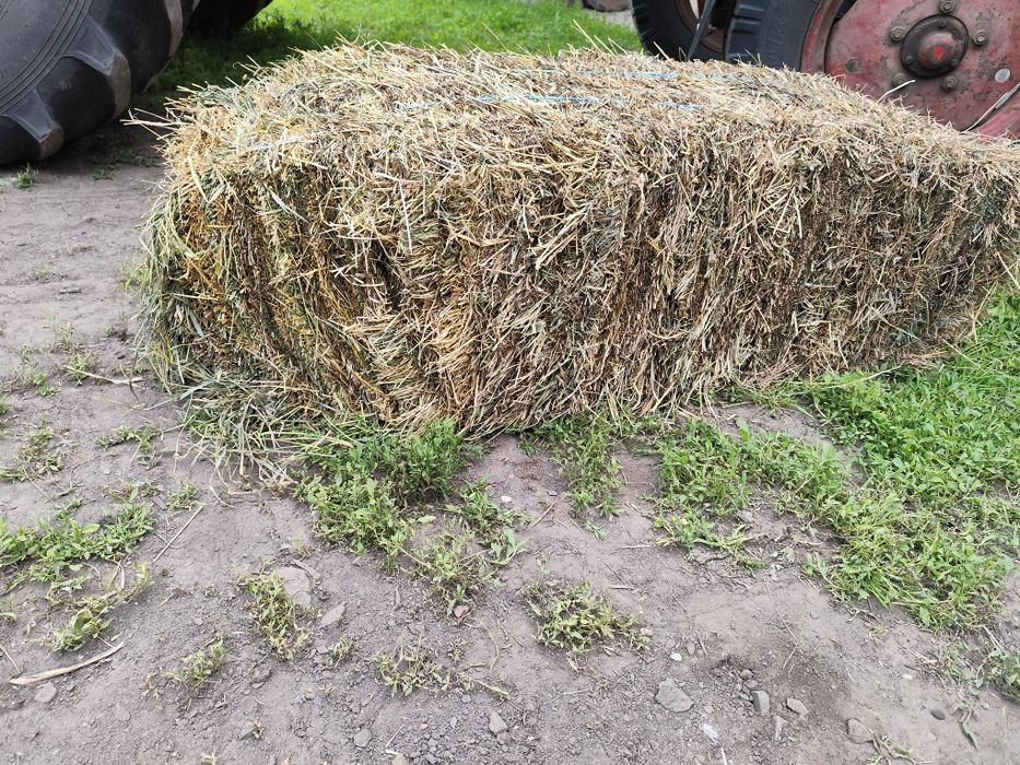Продам тюки з сіна, соломи, люцерни, мішанки