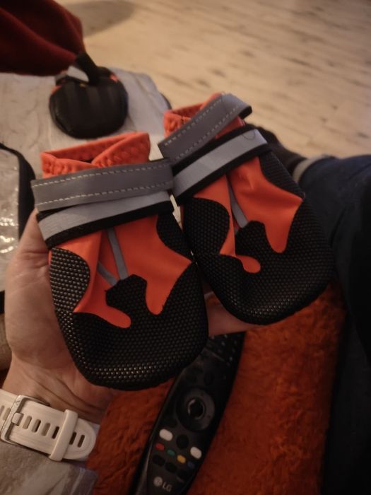 Buty dla psa elawee XL