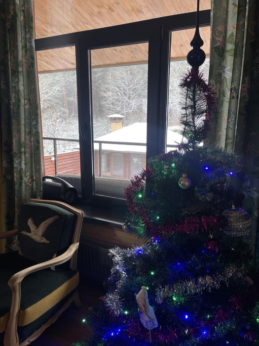 Подобова оренда будинку з Акумуляторми біля Києва. сауна, більярд, ліс