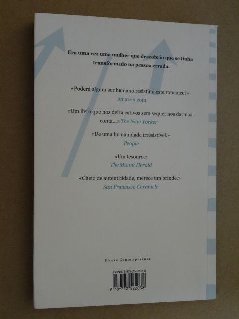 Anne Tyler - 3  Livros