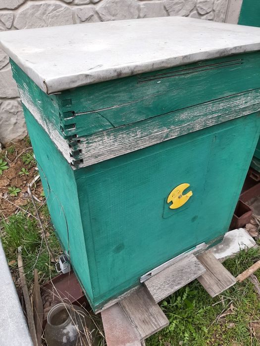 Вулики українка та ін