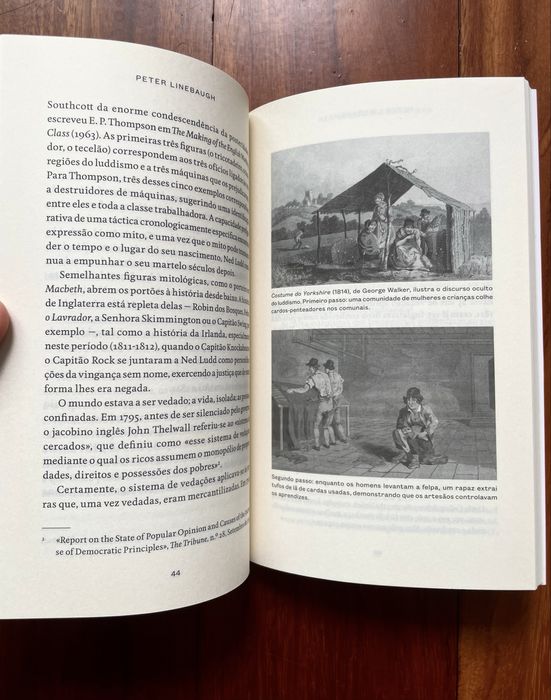 Peter Linebaugh - Ned Ludd e a Rainha Mab