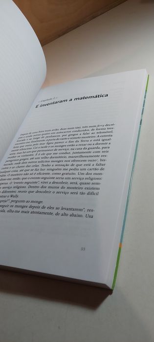 Boomerang - Michael Lewis