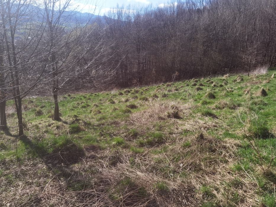 Sprzedam działke 75ar