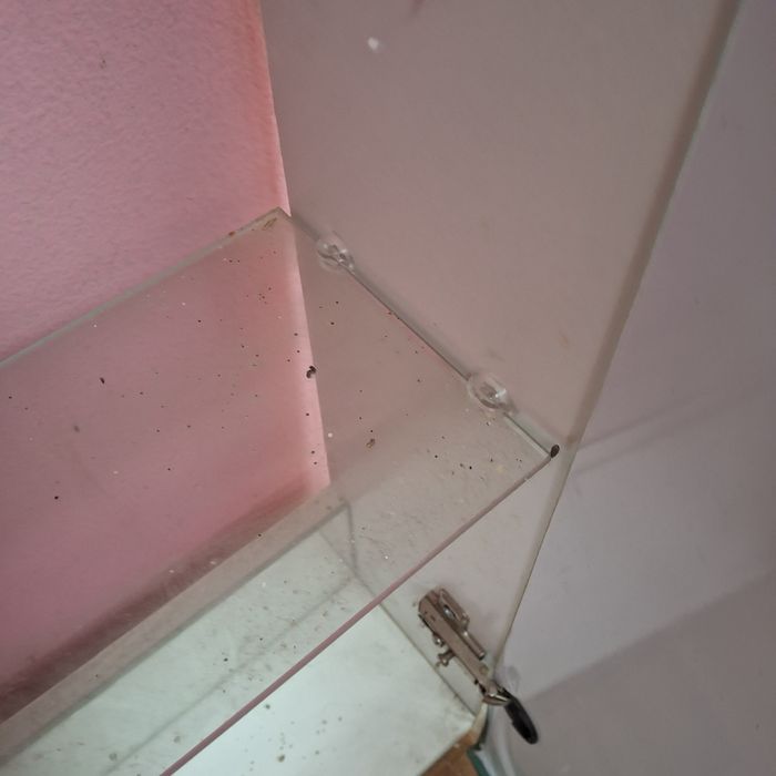 Шафа із дзеркалом настінна для ванної кімнати, б/в