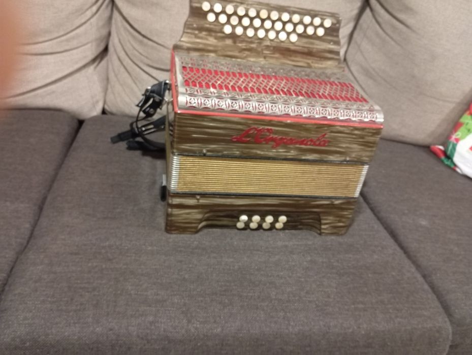 Concertina horganola
