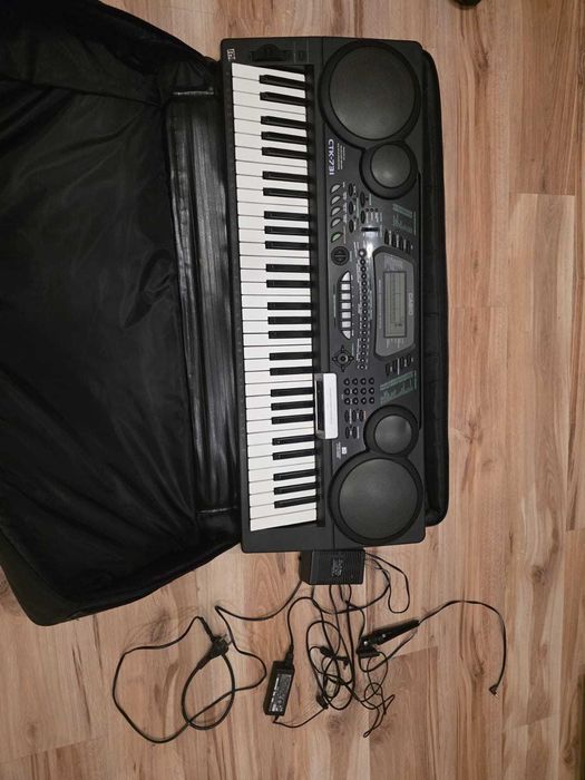 Organy CASIO CTK-731