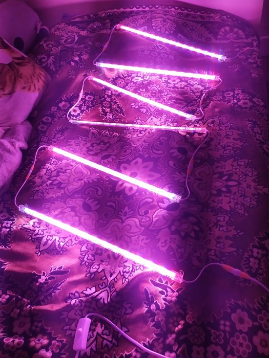 Фітолампа для рослин повний спектр Фитолампа