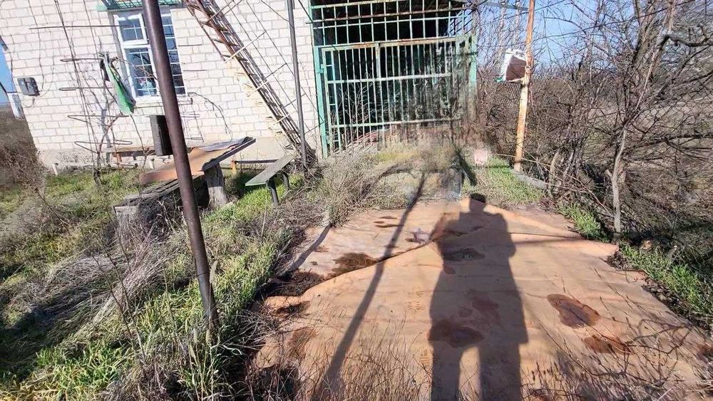 Дачний будинок з участком