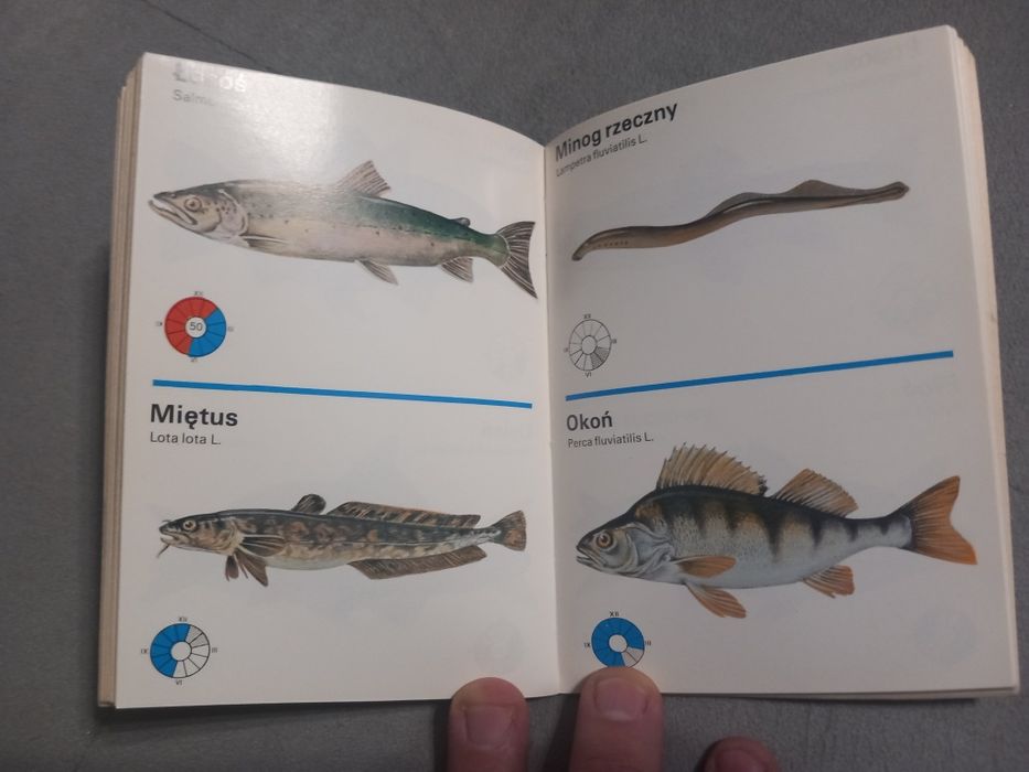 Kalendarz wędkarza 1982r.