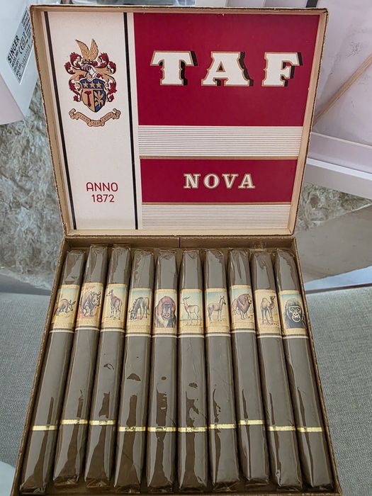 Taf nova artigo de coleção decada de 60