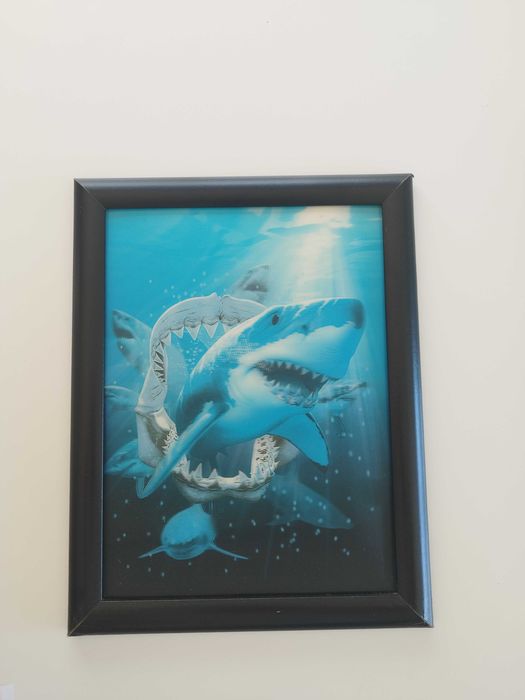 Quadros de animais de Impressão lenticular64752314725121122
