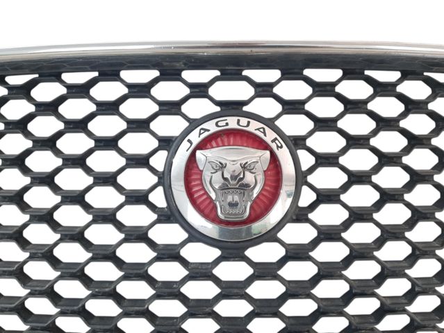 Решітка переднього бампера центральна Jaguar F-Pace 2017-2020 Т4Н12775