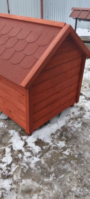 Buda dla dużego psa