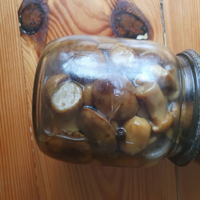 Гриби мариновані. Польський.