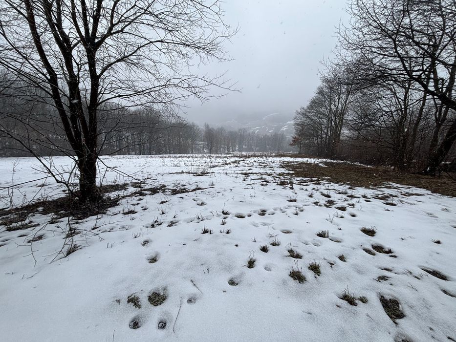 Sprzedam Działki Budowlone