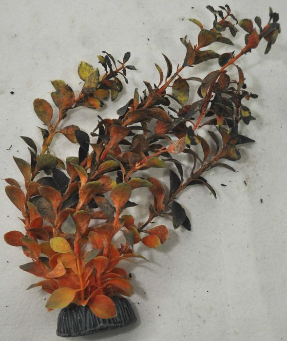 Plantas artificiais para aquário