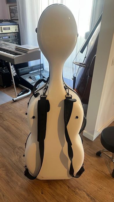 Violoncelo profissional