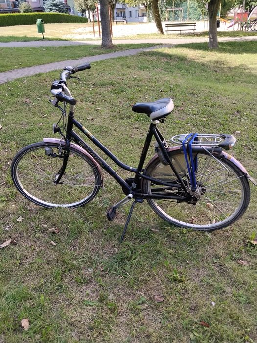 Rower Holenderski