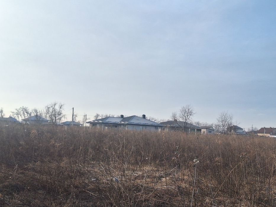 Ділянка 12 соток садове товариство "Цитус" Бориспіль