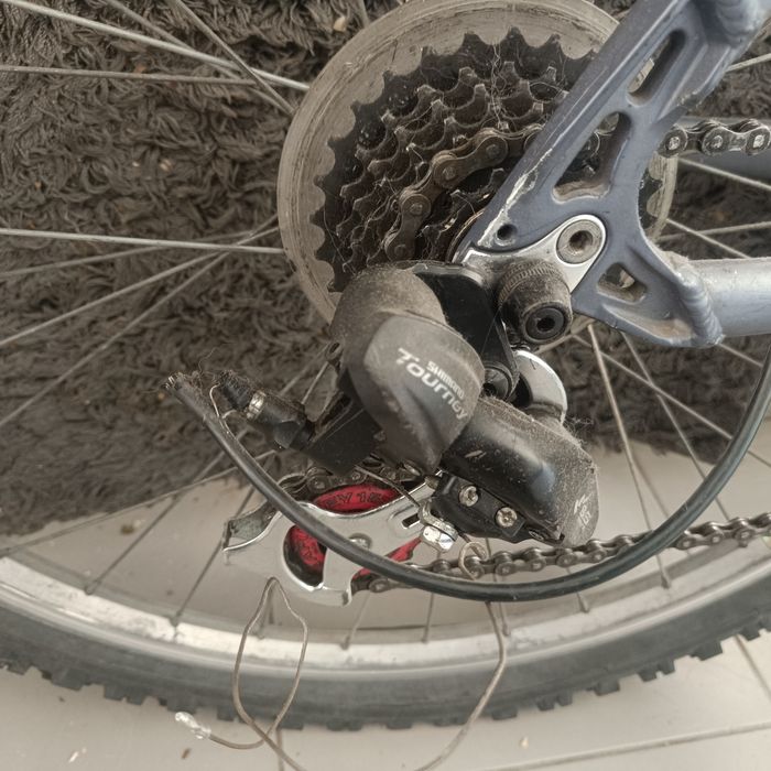Bicicletas/Pasteleira para desocupar