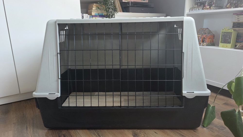 Transporter dla psa
