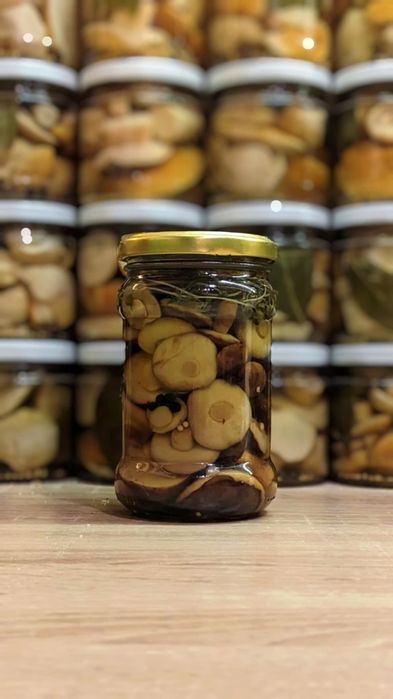 Podgrzybek brunatny w zalewie tradycyjnej - różne pojemności