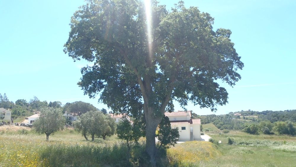 Troca Autocaravana ou vendo Quintinha Santarém  4500 casa p recuperar
