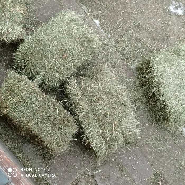 Sprzedam siano w kostce