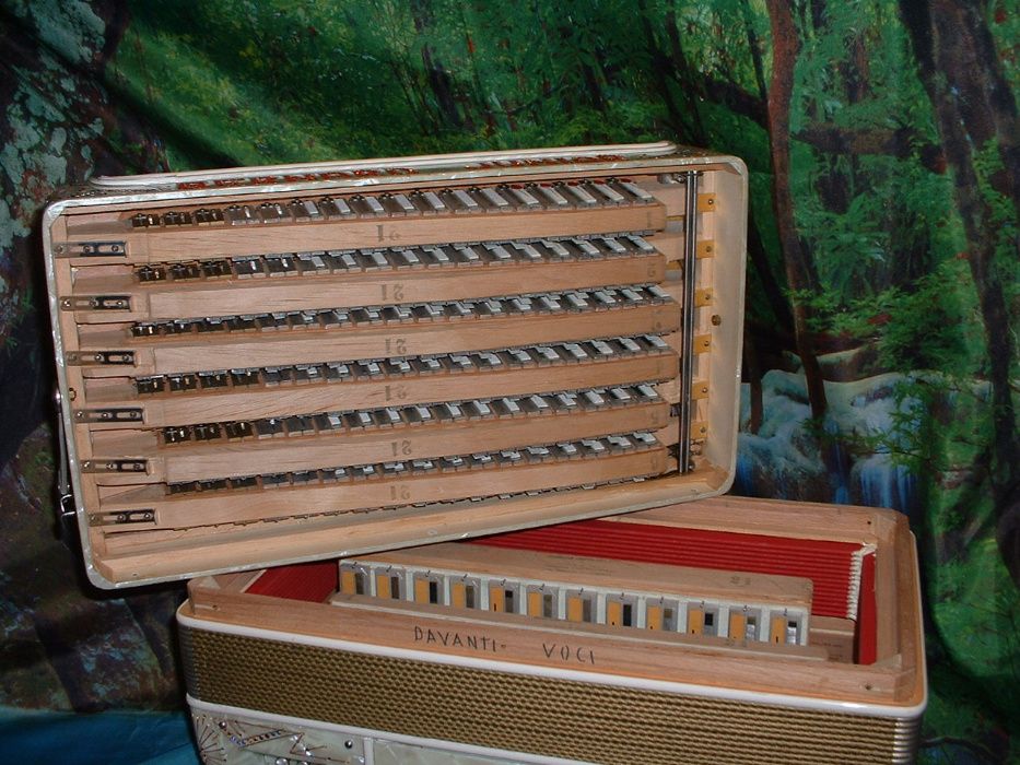 Acordeão avenda G, .679