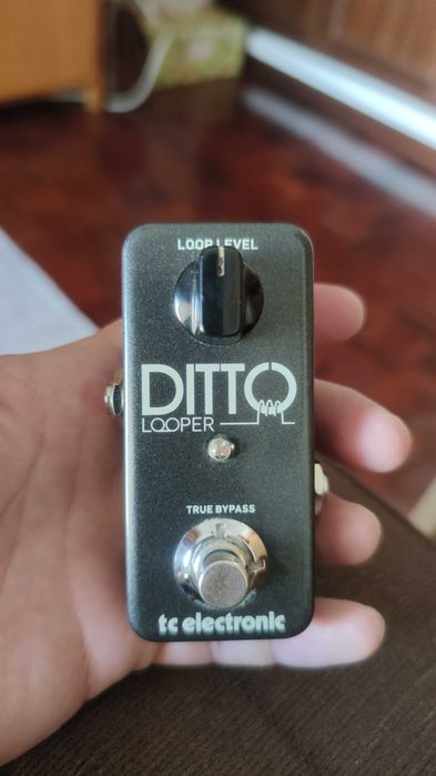 tc electronic Ditto Looper