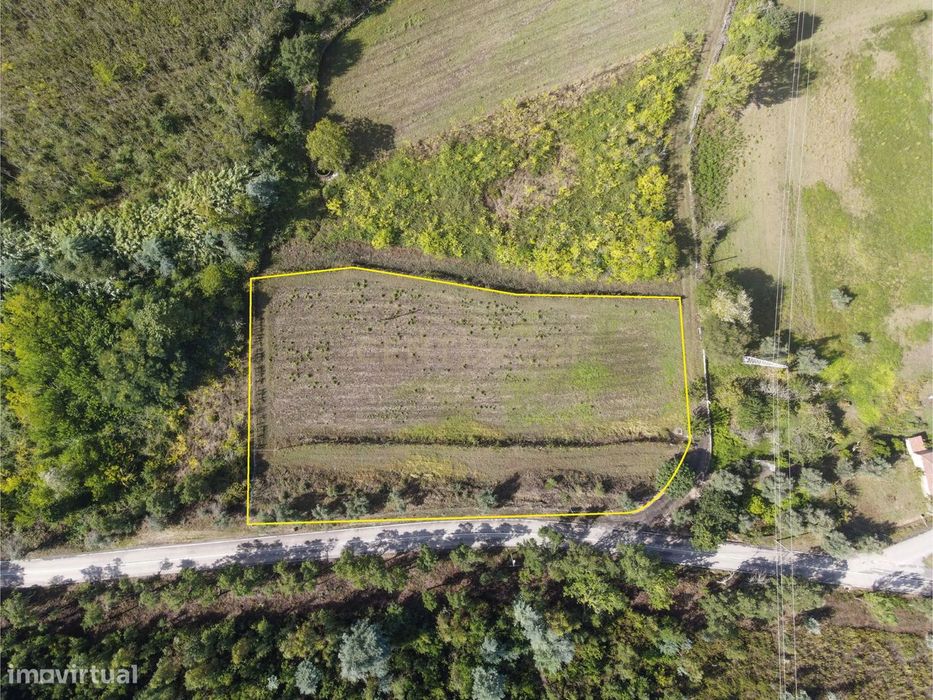 Plot of land with construction potential in Reguengo