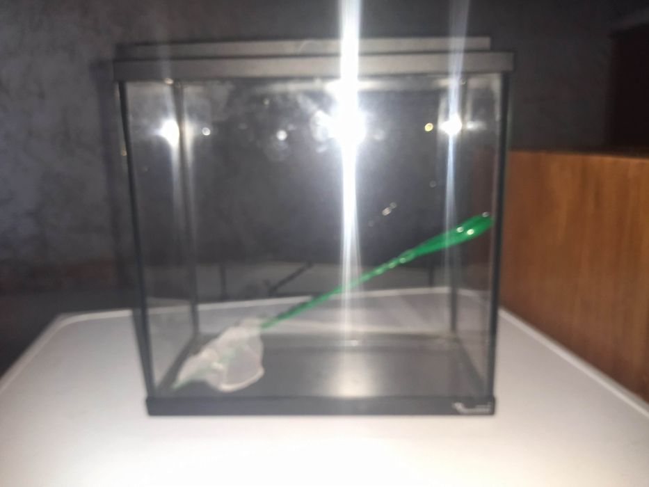 Aquário pequeno 25l